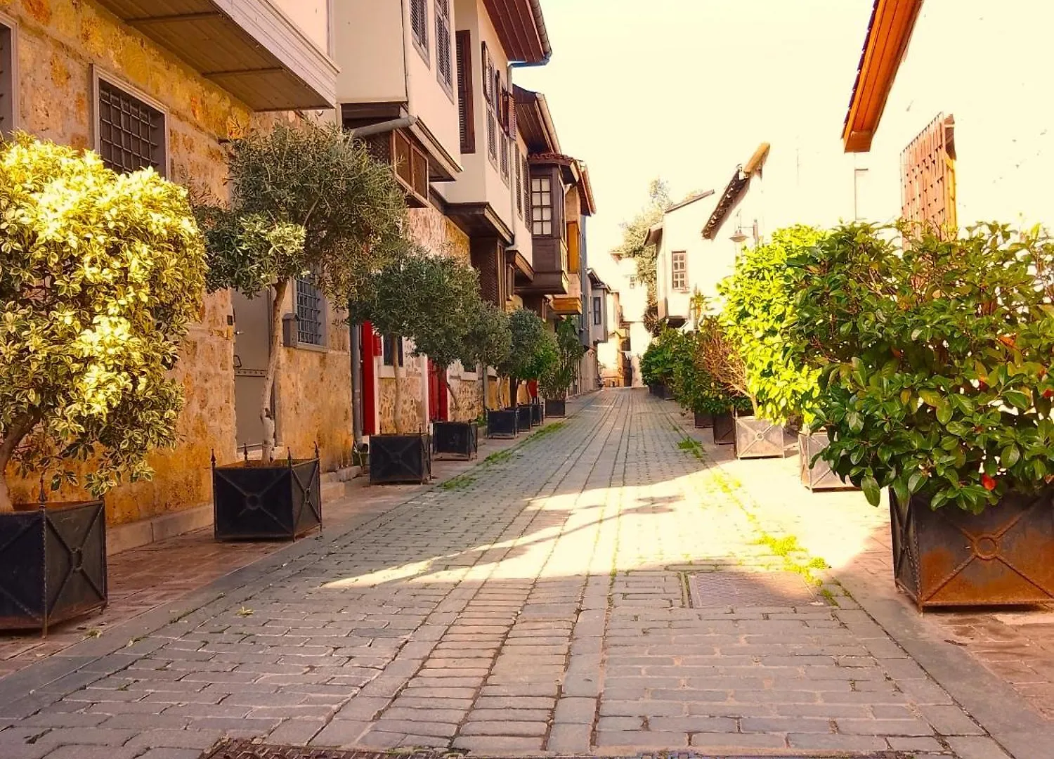 Hotel Alp Pasa Fiore Garden Suites - Special Class Antalya